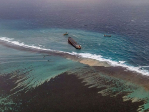 Des cheveux pour nettoyer les océans: les coiffeurs britanniques s'engagent pour la planète