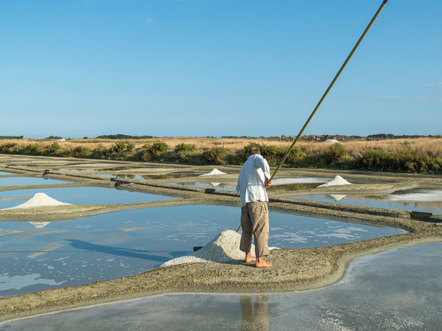 Nautisme Article