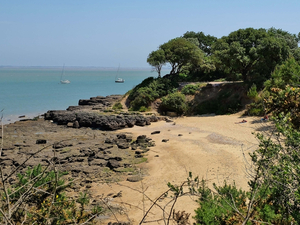 Covid à l'île d'Aix: couvre-feu rejeté, mais contrôles renforcés