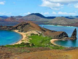 Premier recensement d'iguanes roses sur l'archipel des Galápagos