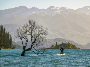 Manta5 : la révolution cycliste 