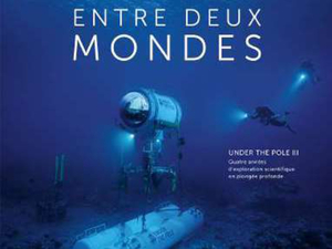 Instant lecture : Entre deux mondes, Under The Pole III