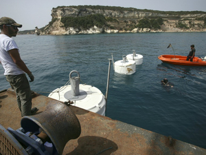 En Corse, préserver la fragile posidonie face aux grands yachts