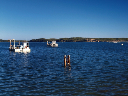 Aléria, étang de Diana