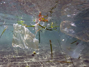 Méditerranée: le plastique au centre des attentions au congrès de la nature