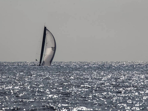 Solitaire du Figaro : l'arrivée est proche !