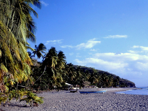 Covid: les touristes profitent de la réouverture des plages en Martinique