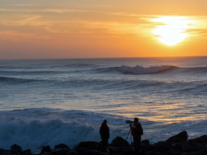 La biodiversité remarquable des eaux côtières bretonnes 