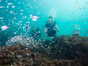 Idées cadeaux : notre sélection de toys pour vos prochaines vacances !