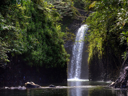 Île de Taveuni Île de Taveuni