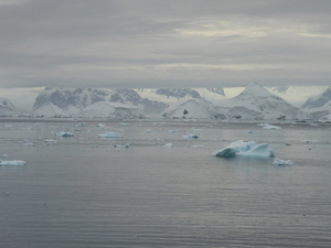 Des ONG appellent à renforcer la protection de l'Antarctique