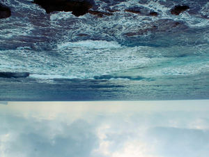 Bleue, la mer dans tous ses spectacles - Dimanche 10 octobre 2021