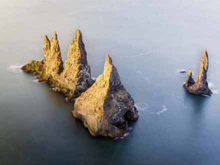 Les cheminées de mer de Reynisdrangar abritent des oiseaux marins, notamment des macareux, des fulmars et des guillemots.