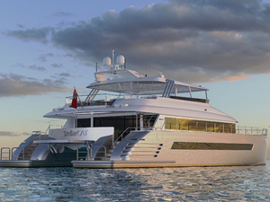 StellarCAT, la nouvelle gamme légère et puissante