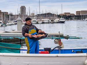 Saint-Malo :  la première fête du port organisée ce week-end ! 