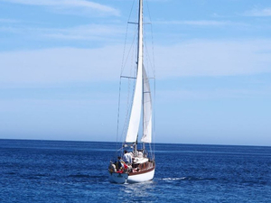 Panique à bord : mon presse-étoupe fuit