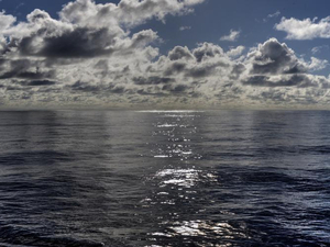 COP26 : faire de l'Océan un allié du climat 