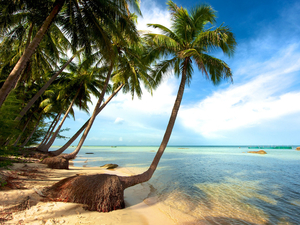 Le Vietnam ouvrira l'île de Phu Quoc aux touristes vaccinés à partir de novembre