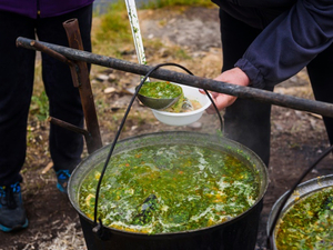 La lamproie, un poisson parasite qui fait les délices des Lettons