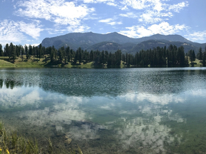 Les hurlements du lac Yellowstone : un mystère intact