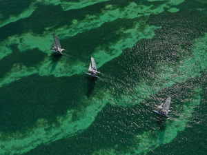 La 8ème édition du Martinique Cata Radi aura lieu du 23 au 29 janvier 2022