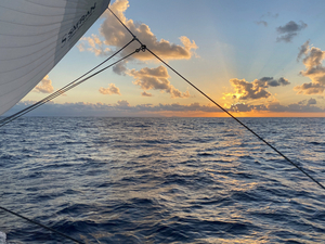 Transat Jacques Vabre : classement de 8h