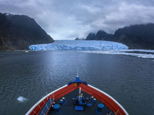 Cap au sud : la Patagonie sur le pont d'un bateau