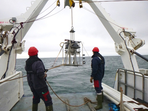 Extraction en mer : comment le milieu marin panse ses plaies ? 