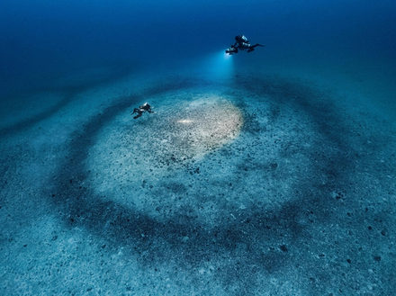 Anneaux coralligènes 