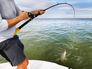 Pêcheur aux quatre coins du monde