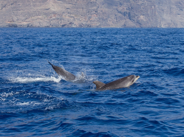 Nautisme Article