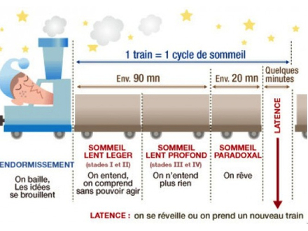 Nautisme Article