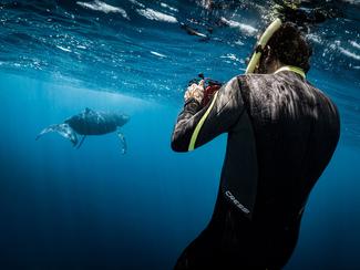 5 des plus beaux clichés de l'année 2021 : une...