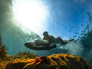 Quelques idées cadeaux pour les passionnés de...