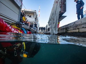 Un dispositif de captage de déchets intelligent dans le Vieux-Port de Marseille 