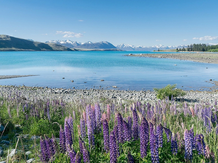 Tekapo Lake, Nouvelle-Z&eacute;lande