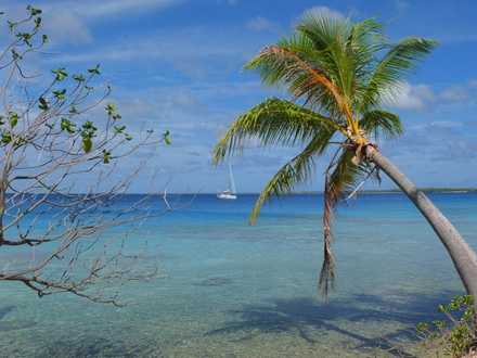 Apataki le mouillage des Tuamotu comme on en rêve : il faut de la longueur de ligne par 18 mètres de fond ! Apataki le mouillage des Tuamotu comme on en rêve : il faut de la longueur de ligne par 18 mètres de fond !