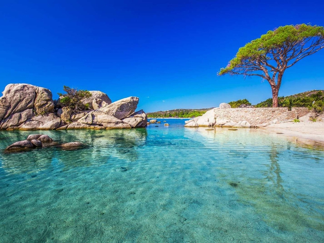 Porto-Vecchio en 2e position devant Ajaccio et Bastia en 4e et 5e places. Nautisme Article