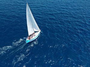 L'écotourisme : nouvelle tendance qui façonne le voyage de demain 