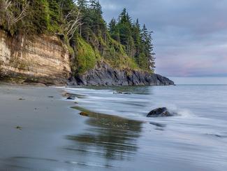 L'Île de Vancouver : une nature pacifique et...