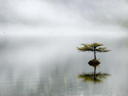 Le brouillard du détroit de la Reine-Charlotte, un énième défi... Le brouillard du détroit de la Reine-Charlotte, un énième défi...
