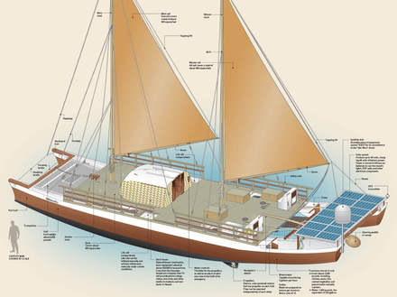 Hikianalia  Hikianalia