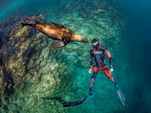 « Océans face à face » : une plongée photo vertigineuse au plus près des animaux marins