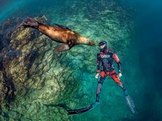 « Océans face à face » : une plongée photo...