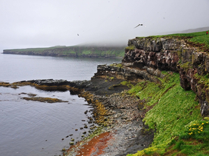 24h sur l'île de Grímsey, perle des eaux islandaises 