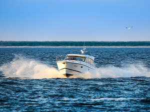 Zoom sur les alternateurs