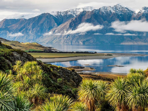 COVID-19 : la Nouvelle-Zélande ouvre ses portes !