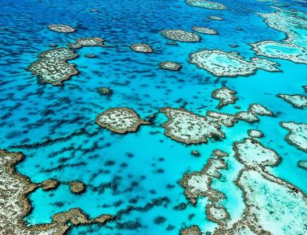 Grande Barrière de Corail, Australie Nautisme Article