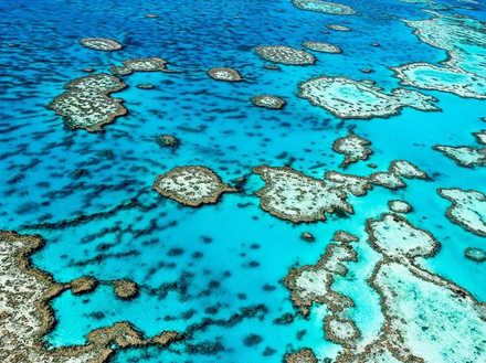 Grande Barrière de Corail, Australie