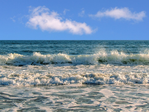  One Ocean Summit : à Brest, un sommet pour mobiliser les Etats en faveur de l'océan